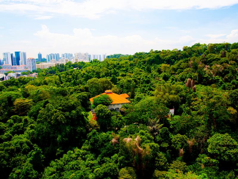 Trên đỉnh Mount Faber 